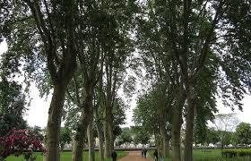 Parc de la Guierle
